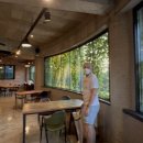 아이비586 이미지