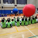 수지초등학교 이미지