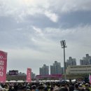 마라톤 | 세종 복사꽃 마라톤 후기