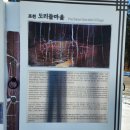 농업회사법인도리돌마을 이미지