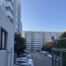 서울 동작구 아파트 주간 흐름 ~ 시세 정리 ~ 유원강변 노량진쌍용예가아파트 상도휴엔하임 제일아파트 경남교수 이미지