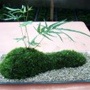 나만의 그린 인테리어 이미지