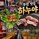 고기각 | [경기/부천] 하누야 | 상동 맛집 | 가성비 | 회식·단체모임 맛집 추천 | 흑돼지 주먹고기