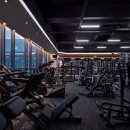 피트니스 REX 이미지