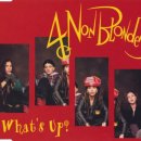 What's Up / 4 Non Blondes (1 Hour) 이미지