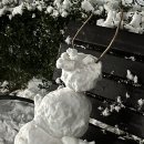 썸코인 노래연습장 이미지