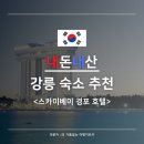 [내돈내산 // 강릉 숙소] 스카이베이 경포 호텔 - 강릉 No. 1 루프탑 인피니티 풀 (Feat. 맛집, 카페)