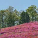 동산공영주차장 화장실 이미지