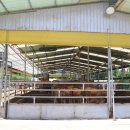 김가네농장 이미지