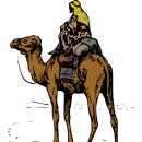Nomad(노마드)