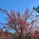 뿌리공원 둘레길 이미지