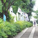 노상하1길 이미지