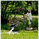 장뜰두레놀이 이미지