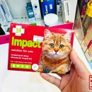 제일편안한약국 이미지