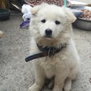 둥이농장 이미지