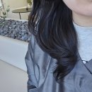 탄현1로 | 평택미용실 르무이헤어룸 본점에서 클리닉 받고 온 후기