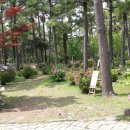 룸엣 155 이미지