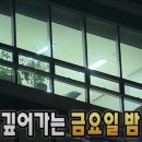 여름해일
