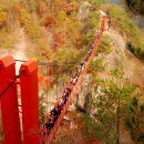 진서중학교 이미지