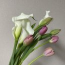 한아름농장 이미지