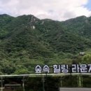 카페505