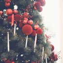 화이트 피시방 이미지