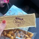 안성내츄럴리조트 | 애견동반 필수 방문! 안성 내츄럴리조트 캠핑장 솔직 리뷰