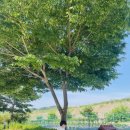 건영승마장 이미지