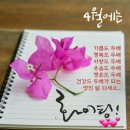 조이헤어 이미지