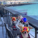 미우농장 이미지