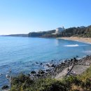 제주 올레길 8코스 이미지