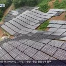 산사태 취약 산지 태양광 경남에만 870곳 위치는 비공개? 기사 이미지
