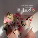 플레르진