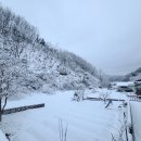 어전농장 이미지