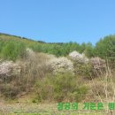 위2리경로당 이미지