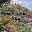 오후의 산책 | [경기도 광주] 화담숲 단풍 시작🍁 늦가을 오후의 고요한 산책