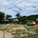 창꼬 더 카페 이미지