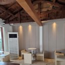 올리브 바닐라 이미지