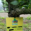 하울농장 이미지