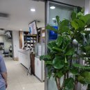 조안과의원 이미지