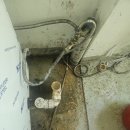 영덕식당 이미지