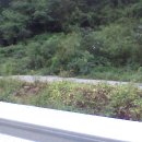 국도주유소 이미지