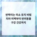 범석영치과의원 네이버블로그