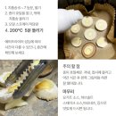 송이버섯자연송이대광상회 | 캠핑에도, 반찬으로도 좋은 치즈 품은 새송이버섯 치품송 후기