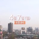 시청사거리 | [루비로즈 부동산] 사당사거리 블루스 시청 후기
