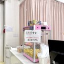 논산안경원 | 논산키즈카페) 다양한 놀이기구가 있는 ‘바니키즈랜드’
