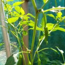 여남경로당 이미지