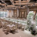 파티오-25 이미지