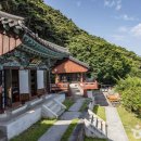 711지방도 가로수 조성사업 | [충청북도 청주시] 대청호(청주)