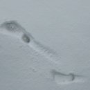 땅끝공인중개사사무소 이미지